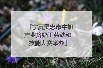 宁夏吴忠市牛奶产业挤奶工劳动和技能大赛举办